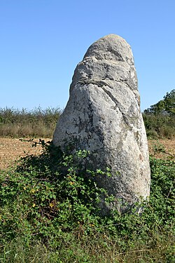 Menhir des Petites Jaunières makalesinin açıklayıcı görüntüsü