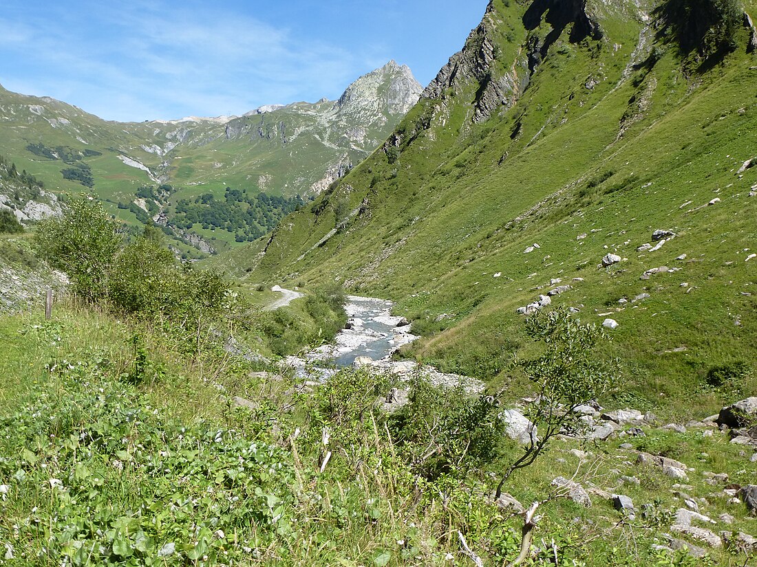 Torrent des Glaciers