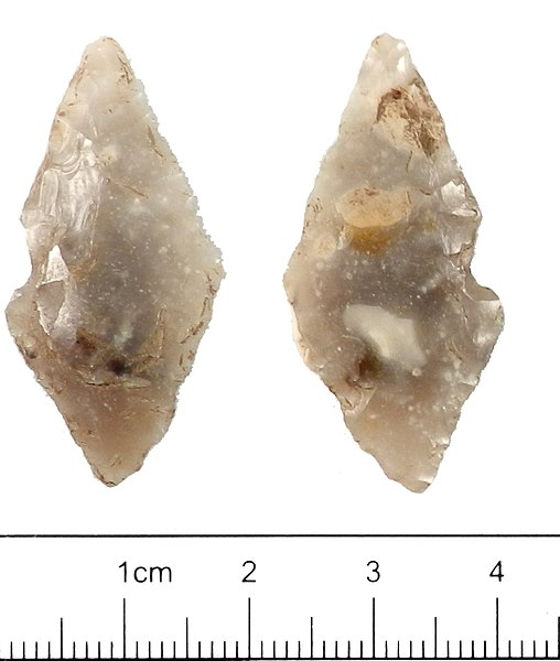 File:Leaf Shaped Arrow Head , Neolithic (FindID 522576).jpg