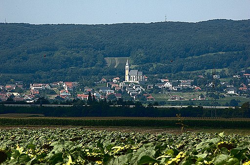 Blick auf Kleinhöflein (Stadtteil von Eisenstadt) am Südhang des Leithagebirges (Burgenland, Österreich)