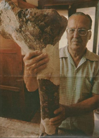 <span class="mw-page-title-main">Llewellyn Ivor Price</span> Brazilian paleontologist