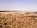 Loch in Auckengill.