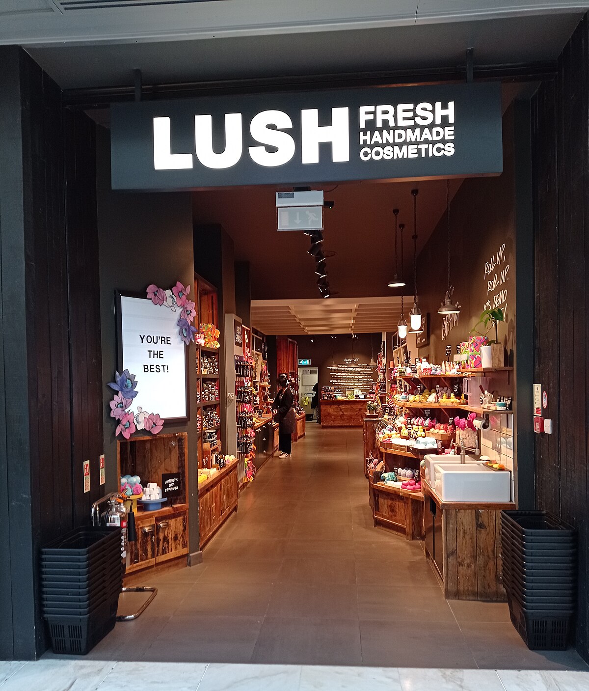 lush logo - Google Search  Lush cosmetics, Handmade cosmetics, Lush  products