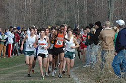 The Minnesota state high school cross country meet, with Elliott Heath and Hassan Mead leading. MNSTATE.jpg