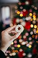 Man hand holding a cookie new year tree with Christmas lights on background. (49239649938).jpg