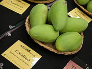 Mango Carabao Asit ftg.jpg