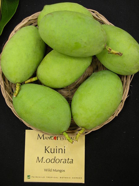 File:Mango Kuini Asit ftg.jpg