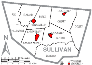 <span class="mw-page-title-main">Sullivan County School District</span> School district in Pennsylvania