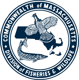 <span class="mw-page-title-main">Division of Fisheries and Wildlife (Massachusetts)</span>