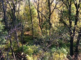 Mills Reservation County park in Essex County, New Jersey