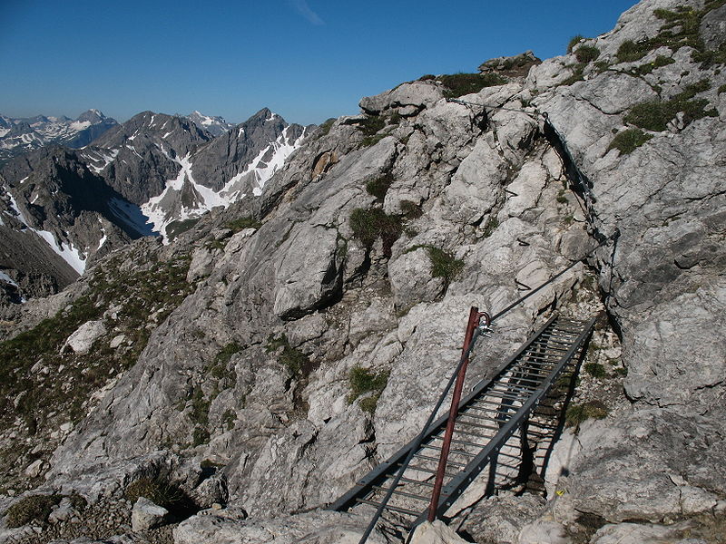 File:Mindelheimer Klettersteig Leiterbruecke02.JPG