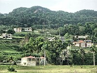 Moca (Puerto Rico)