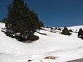 Le mont Ventoux