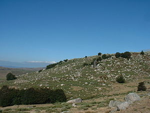 Landschaft auf dem Mont Lozère