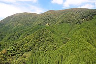 伐採された植林地の斜面の登山道（東ルート）から望む舟伏山の山頂部