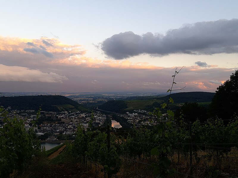 File:Mouth of the Nahe, from Rüdesheim.jpg