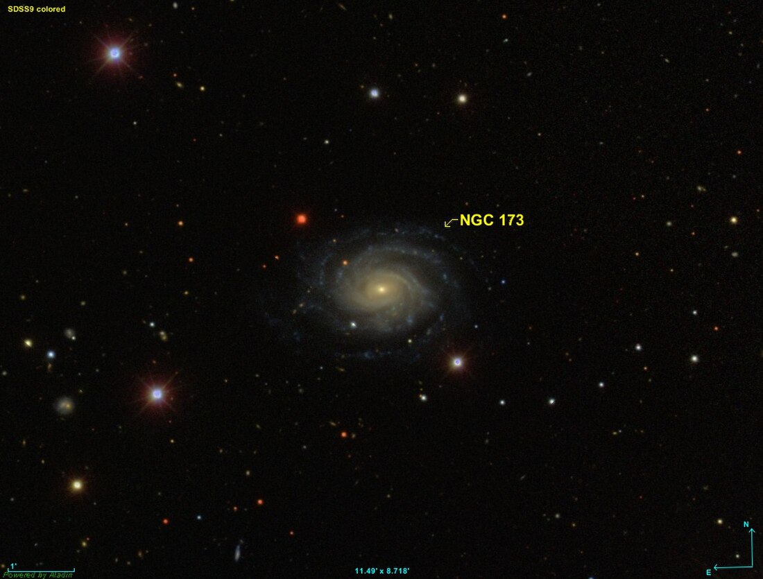 NGC 173