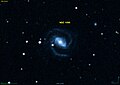 NGC 1096 DSS.jpg
