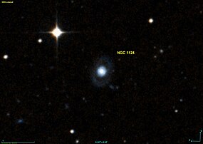NGC 1124 DSS.jpg
