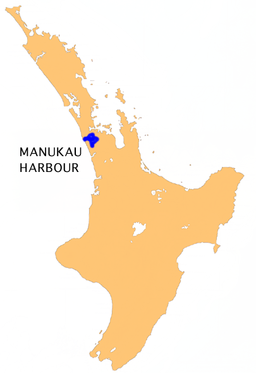 NZ-Manukau H.png