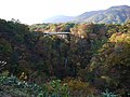 大谷橋をバックにした紅葉の様子（2011年10月）