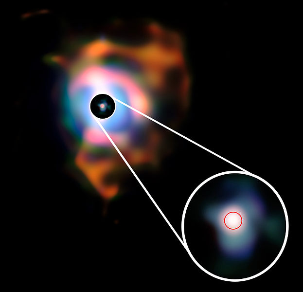 File:Nebula and betelgeuse VLT.jpg