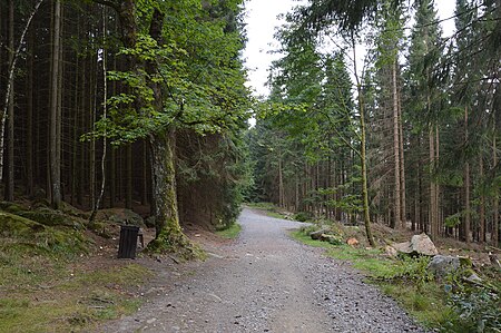 Neuer Weg bei Schierke