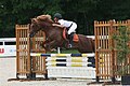 English: New Forest pony show jumping Français : Poney New Forest lors d'un concours de CSO