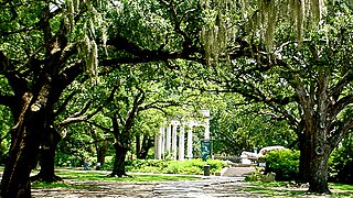 <span class="mw-page-title-main">Audubon Nature Institute</span> Nonprofit that manages museums and parks dedicated to nature in Louisiana, United States