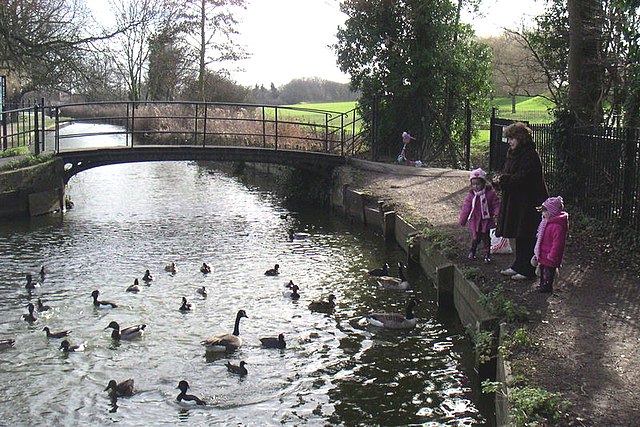 The New River at Enfield Town Park in London – photographed on 3 February 2008