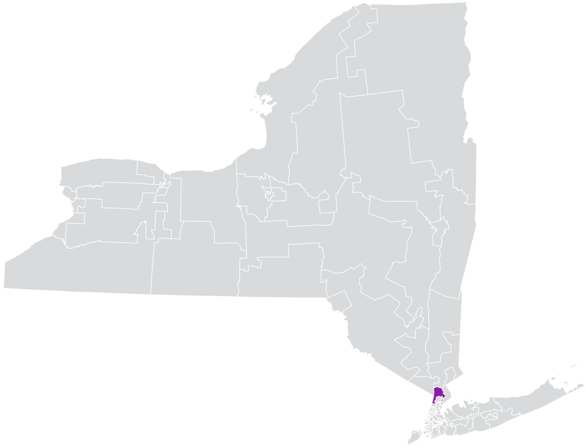 New York's 35th State Senate district - Wikipedia