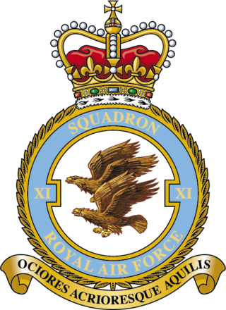 <span class="mw-page-title-main">No. 11 Squadron RAF</span> Flying squadron of the Royal Air Force