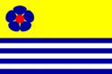 Novosedly nad Nežárkou - Drapeau