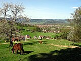 Oberhalb des Jungbauerhofes Blick nach Kirchzarten im Dreisamtal