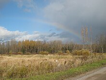 Un bosquet ou une forêt bordée d'un champ de hautes herbes couleur blé.  Des nuages ​​gris sont proéminents dans la moitié supérieure de l'image, avec le ciel azur visible à gauche et des nuages ​​plus blancs à l'horizon à gauche.  Un arc-en-ciel part du bosquet en bas à droite, traverse les nuages ​​sombres puis le ciel, s'estompant vers la gauche.