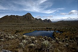 Sumapaz - Bekijk