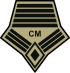 PAF CMSG WOODLAND.svg