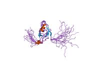 PDB 1x5n EBI.jpg