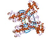 PDB 2bif EBI.jpg