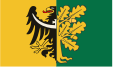Flag of Wałbrzyski County