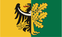 Distretto di Wałbrzych – Bandiera