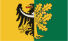 Bandeira do Condado de Wałbrzych