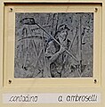 wikimedia_commons=File:Painting Contadino, by Albinio Ambrosetti.jpg