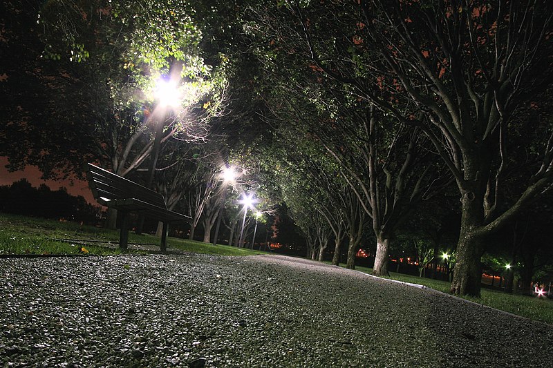 Park Bench at Night (279616294).jpg