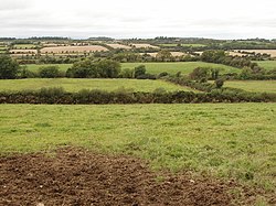 Pastagens e campos de cereais perto de Orchardstown