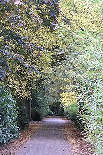 West Park, Long Eaton