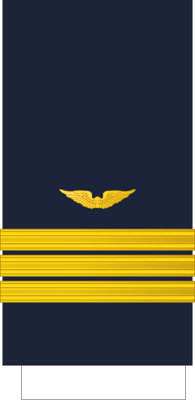 File:Peru-AirForce-OF-4.svg