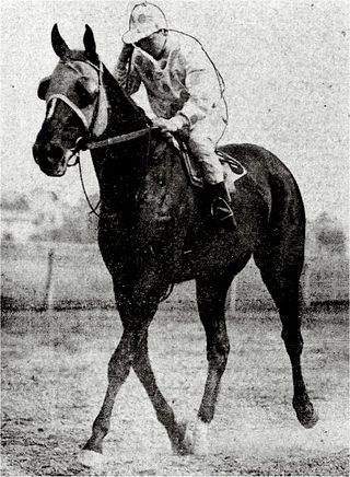 <span class="mw-page-title-main">Peter Pan (American horse)</span> American-bred Thoroughbred racehorse