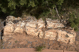 <span class="mw-page-title-main">Escalante Petrified Forest State Park</span> State park in Utah, United States