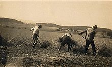 Arbeit der zukünftigen Kibbuzim in Betzenrod